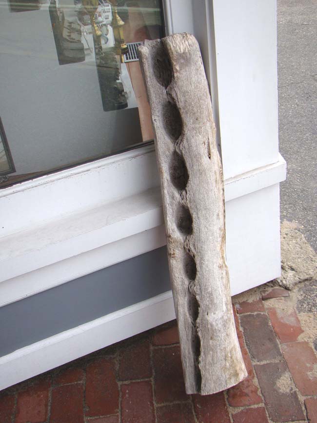 A 19th century 3' section from a sperm whale's jaw bone — image 2